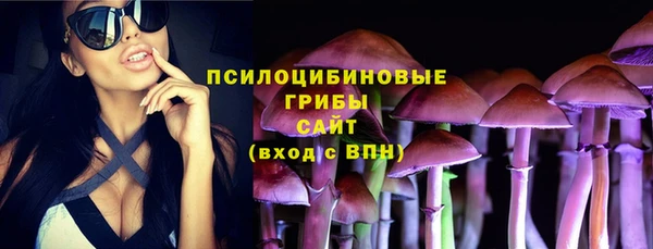 apvp Алексеевка