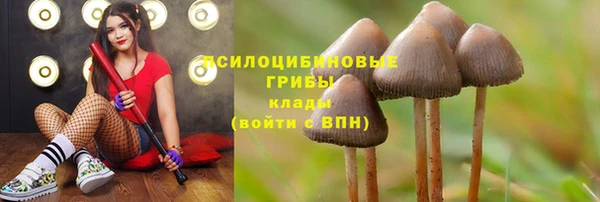 apvp Алексеевка