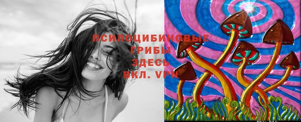 apvp Алексеевка