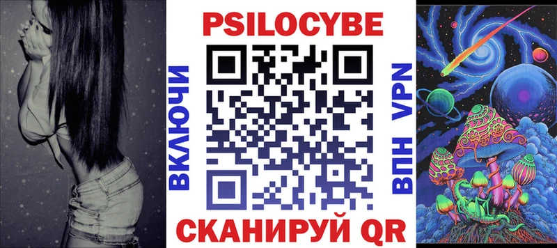 Галлюциногенные грибы Psilocybe  закладки  мориарти какой сайт  Павлово 