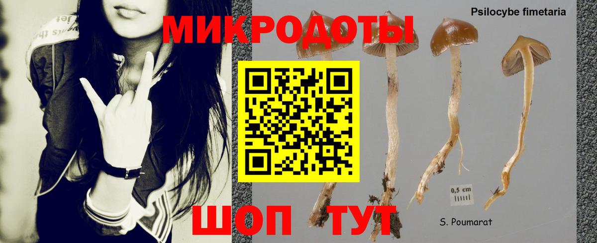 Павлово  Галлюциногенные грибы GOLDEN TEACHER  Вход с VPN 